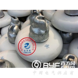 XP2-100悬式绝缘子图3