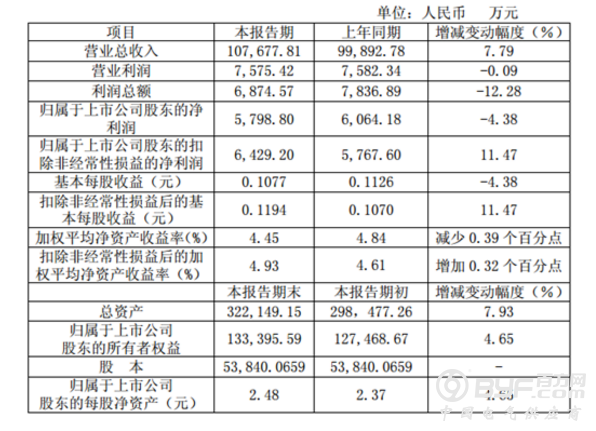 乐山电力：半年报净利润下降4.38%