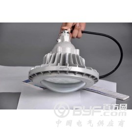 BPC8765防爆平台灯图2