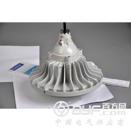 BPC8765防爆平台灯图3