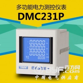 DMC231P智能网络仪表永诺电气