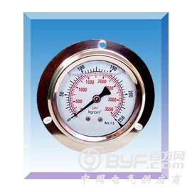 抗震压力表YTN-50/60/75/100/150图2