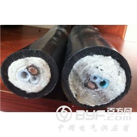 S0304-A0101-009 保护过滤器 FP-2T图3