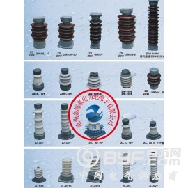 ZS-110/8.5支柱绝缘子图3