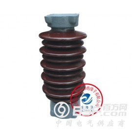 ZS-110/17支柱绝缘子