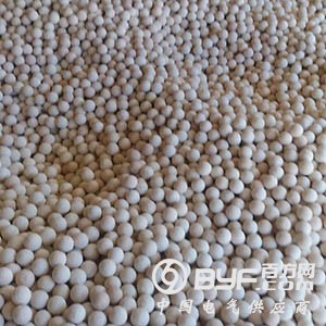 QQ图片20170113151202