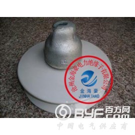XWP2-70悬式绝缘子