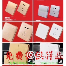 墙壁开关,各种大板墙壁开关,USB带五孔插座,温州墙壁开关厂图2