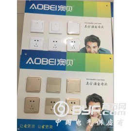 墙壁开关,各种大板墙壁开关,USB带五孔插座,温州墙壁开关厂图3
