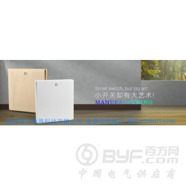 墙壁开关,墙壁开关插座,大板无边框开关,金色/白色开关插座图3
