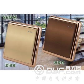 墙壁开关,开关插座,86型大板墙壁开关,定做各种大板墙壁开关图2