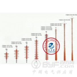 FXBW4-10/100棒形悬式复合绝缘子图2