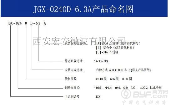 JGX-0240D-6.3A 命名图