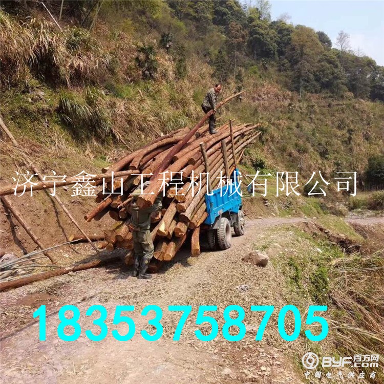 四驱拉树毛竹车 (6)