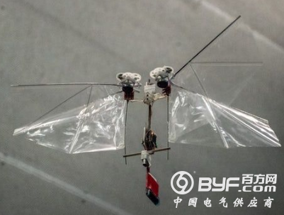 荷兰大学研制动作机敏的DelFly Nimble扑翼机器人