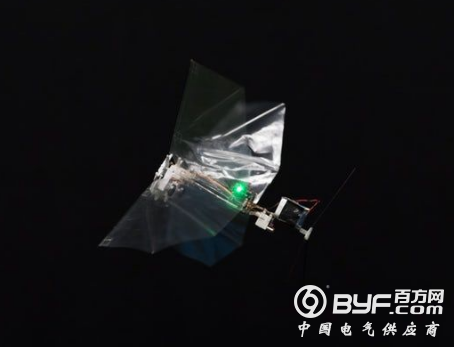 荷兰大学研制动作机敏的DelFly Nimble扑翼机器人
