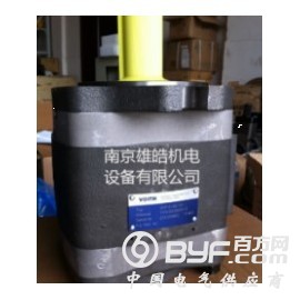 IPVP6-80-101福伊特齿轮泵