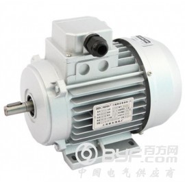 专业生产上海德东 YS铝壳电机YS-100L1-4国标电动机