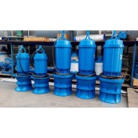 井筒式潜水轴流泵专业生产厂家