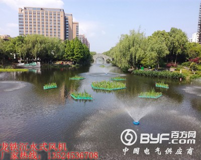 河道治理案例