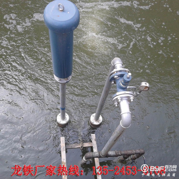 沉水龙铁