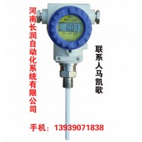 CR-602系列高温高压液位计