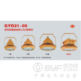 GYD21-05防爆免维护LED照明灯