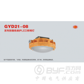 GYD21-08防爆免维护LED照明灯