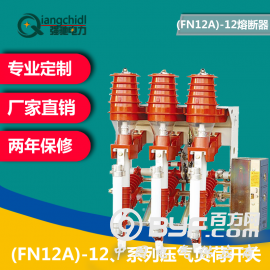 强驰电力 FN12A-12压气负荷开关—熔断器组合电器