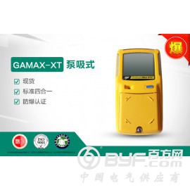 加拿大BW GAMAX-XT多种气体检测仪