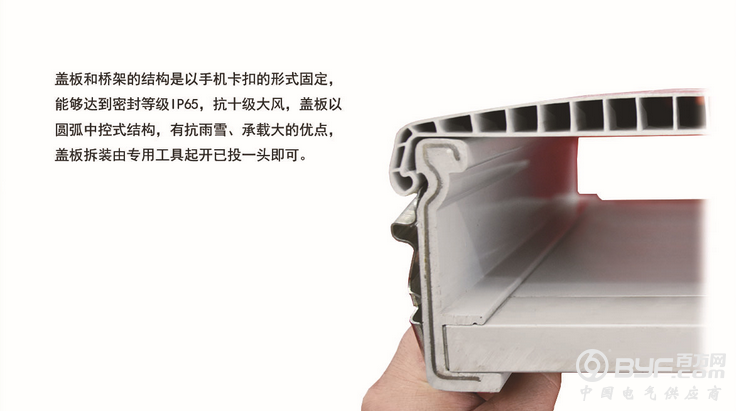 QQ图片20190317161755