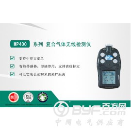 一氧化碳多组分气体检测仪 MP400/MP400P系列