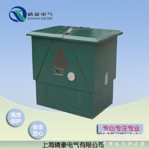 DFW10KV电缆分支箱产品图