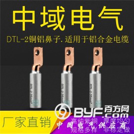 方头DTL-2铜铝鼻子 铝合金线鼻子 光伏空开用接线端子