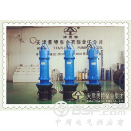 800QZB潜水轴流泵-工业过程用水排放