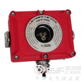 RBT-6000-ZLGM1、油气报警器