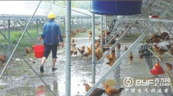 微信截图_20190817081732