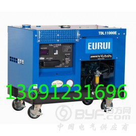 原装日本进口东洋发电机TDL11000E