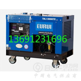 原装日本进口东洋发电机TDL13000TE