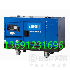 原装日本进口东洋柴油发电机TDL13000TE-B