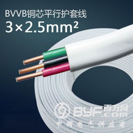 BVVB3芯2.5平方