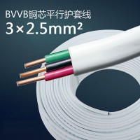 BVVB3芯2.5平方