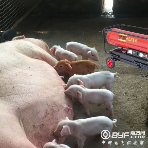 场加温机 暖风机