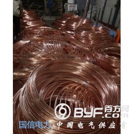 浙江国信大量供应优质铜包钢接地线