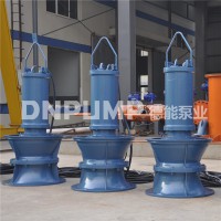天津专业生产轴流泵厂家德能泵业