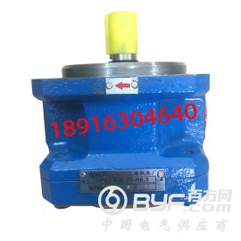供应上海机床厂GPA2-10-E-20R6.3内啮合齿轮泵