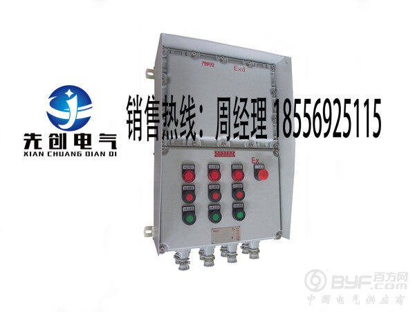 EXd IP65户外防爆配电箱,壁挂式防爆配电箱