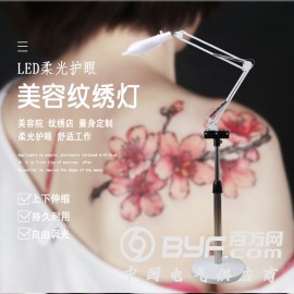 LED纹绣灯纹身纹睫立式学习冷光灯院家庭维修调光