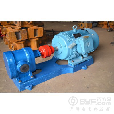 2CY齿轮油泵无嗓音产品图2