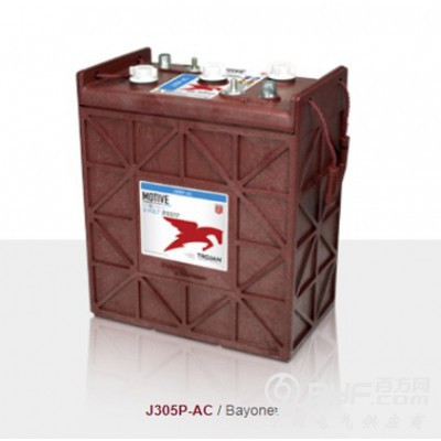 美国Trojan邱建蓄电池J305G-AC图2